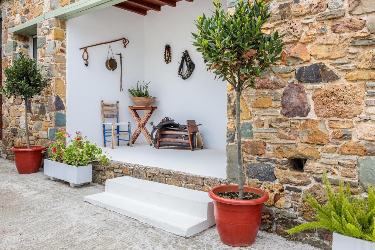 Villa Maja Σκόπελος Εξωτερικό φωτογραφία